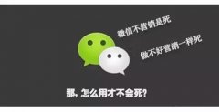 互聯(lián)網金融微信公眾號平臺哪家好