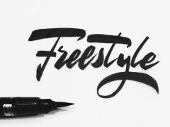 用不到20行代碼寫一個(gè)freestyle外掛后臺(tái)