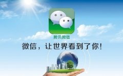 微信公眾號托管服務事項有哪些？