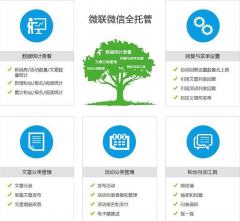 金山微信運(yùn)營(yíng)托管
