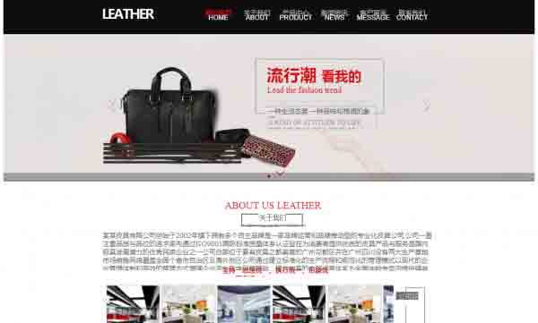 web 服務(wù)器的網(wǎng)站SEO優(yōu)化研究